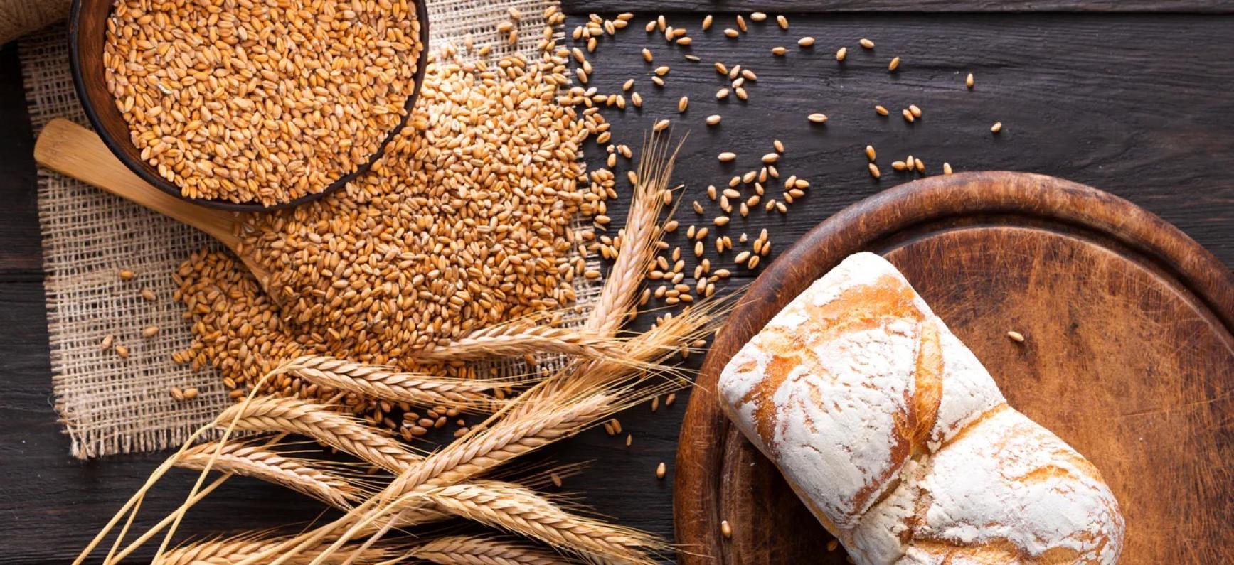 Bread 2